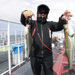 尼崎市立魚つり公園 釣果