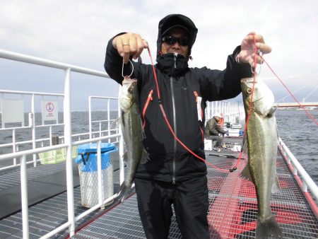 尼崎市立魚つり公園 釣果