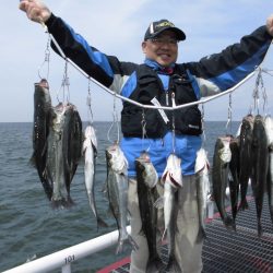 尼崎市立魚つり公園 釣果