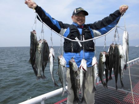 尼崎市立魚つり公園 釣果