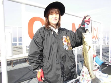 尼崎市立魚つり公園 釣果