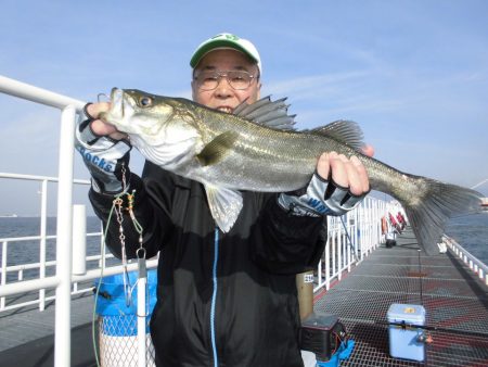 尼崎市立魚つり公園 釣果