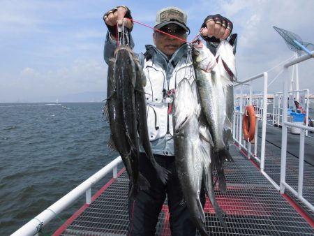 尼崎市立魚つり公園 釣果