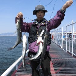 尼崎市立魚つり公園 釣果