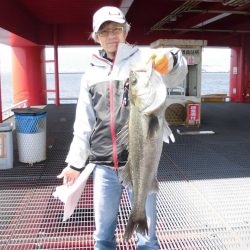 尼崎市立魚つり公園 釣果