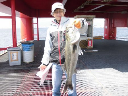 尼崎市立魚つり公園 釣果