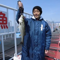 尼崎市立魚つり公園 釣果