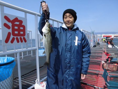 尼崎市立魚つり公園 釣果