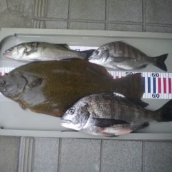 姫路市立遊魚センター 釣果