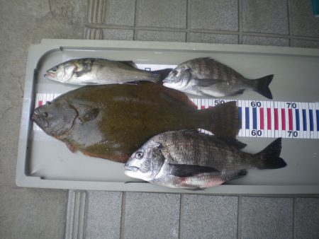 姫路市立遊魚センター 釣果