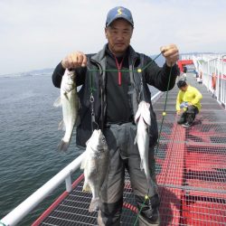 尼崎市立魚つり公園 釣果