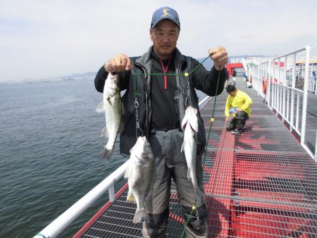 尼崎市立魚つり公園 釣果