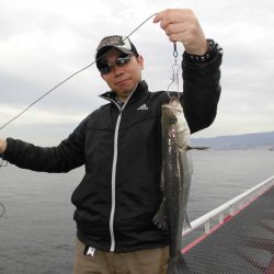 尼崎市立魚つり公園 釣果