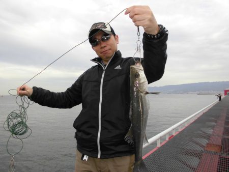 尼崎市立魚つり公園 釣果