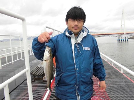 尼崎市立魚つり公園 釣果