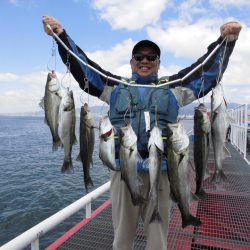 尼崎市立魚つり公園 釣果