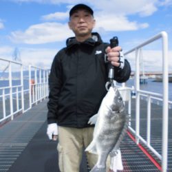 尼崎市立魚つり公園 釣果