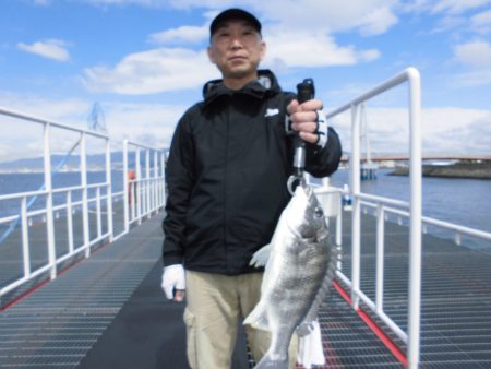 尼崎市立魚つり公園 釣果