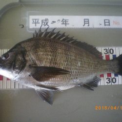 姫路市立遊魚センター 釣果