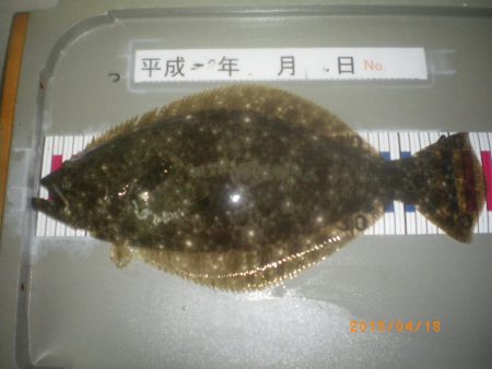 姫路市立遊魚センター 釣果