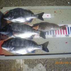 姫路市立遊魚センター 釣果