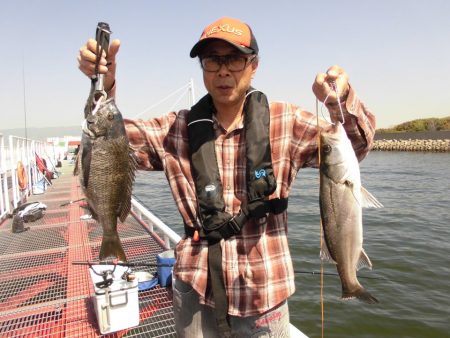 尼崎市立魚つり公園 釣果