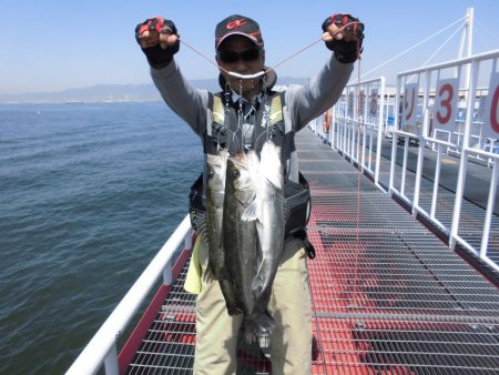 尼崎市立魚つり公園 釣果