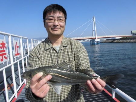 尼崎市立魚つり公園 釣果