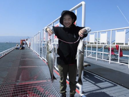 尼崎市立魚つり公園 釣果