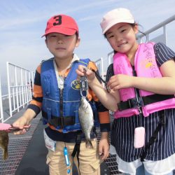 尼崎市立魚つり公園 釣果