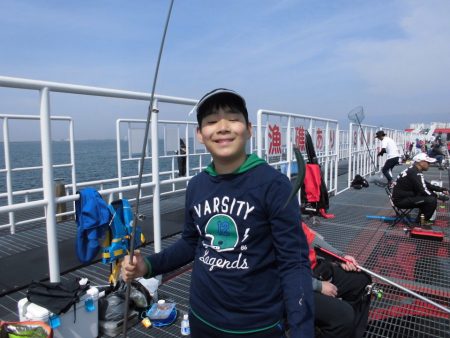 尼崎市立魚つり公園 釣果