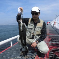 尼崎市立魚つり公園 釣果