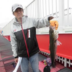 尼崎市立魚つり公園 釣果