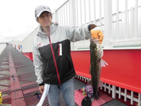 尼崎市立魚つり公園 釣果