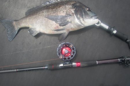 オリジナルメーカー海づり公園(市原市海づり…