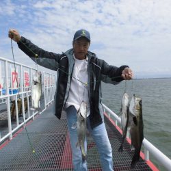 尼崎市立魚つり公園 釣果