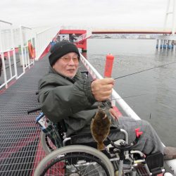 尼崎市立魚つり公園 釣果