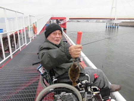 尼崎市立魚つり公園 釣果