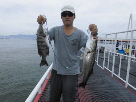 尼崎市立魚つり公園 釣果