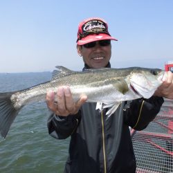 尼崎市立魚つり公園 釣果
