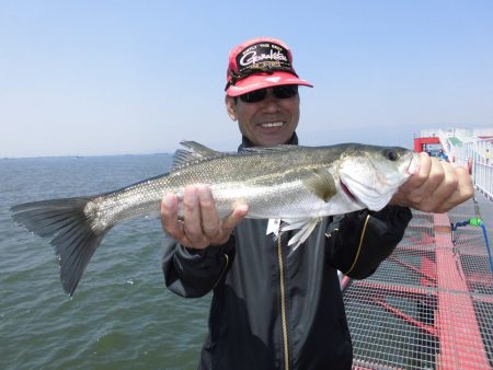尼崎市立魚つり公園 釣果