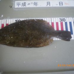 姫路市立遊魚センター 釣果