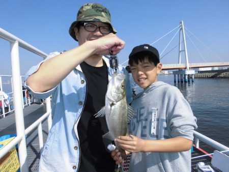 尼崎市立魚つり公園 釣果