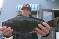 伊豆下田フィッシング 釣果