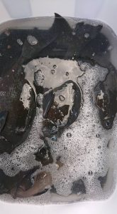 伊豆下田フィッシング 釣果