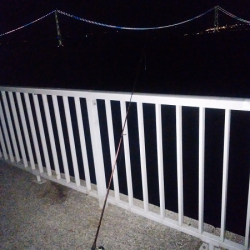 開通20周年の明石海峡大橋を見ながら