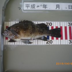 姫路市立遊魚センター 釣果
