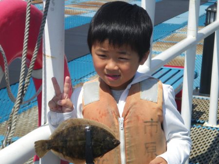 オリジナルメーカー海づり公園(市原市海づり施設) 釣果