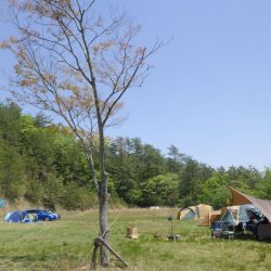 フィッシングレイクたかみや 釣果