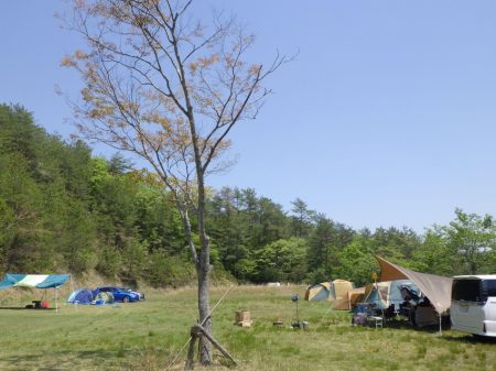 フィッシングレイクたかみや 釣果